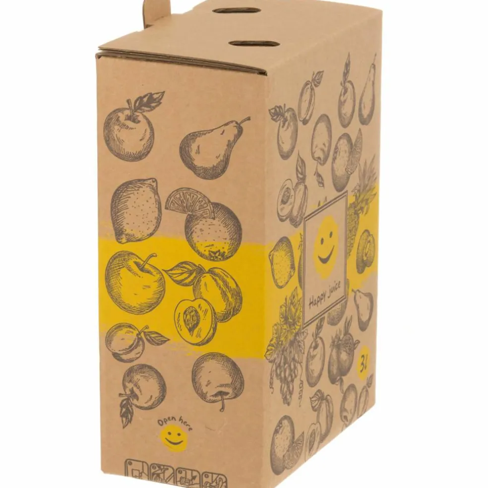 Bag In Box-pose med kran 3 liter 4-pakning