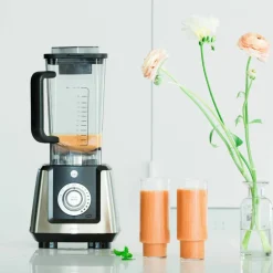 Blender Power Fuel BPF-1200S