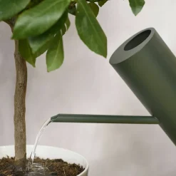 Bloom vannkanne 2 liter, pine