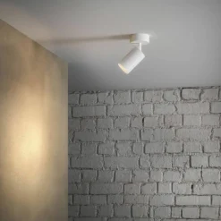 Canspot 55 Single spotlight, svart