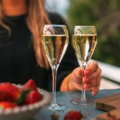 Champagneglass 16 cl, 6-pakning