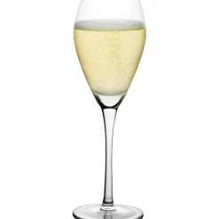 Champagneglass 16 cl, 6-pakning