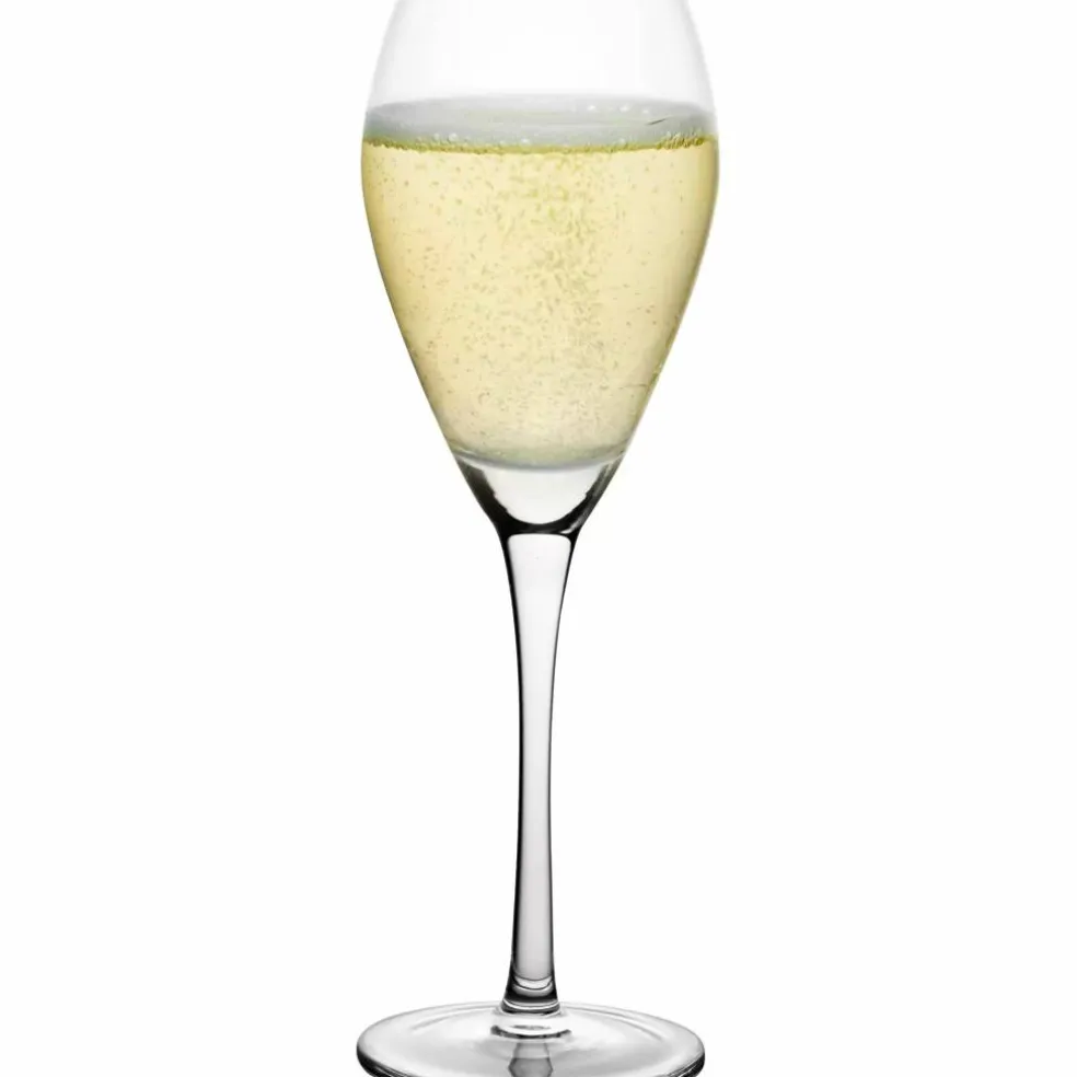 Champagneglass 16 cl, 6-pakning