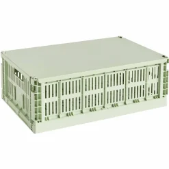 Colour Crate lokk large, golden mint