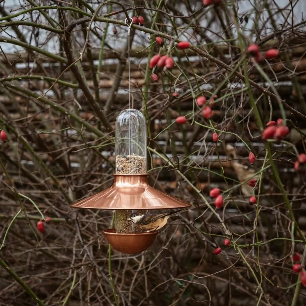 De Luxe fuglemater, svart