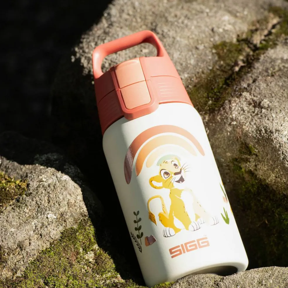 Disney Shield ONE flaske 0,5 liter, princesses