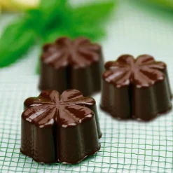 Easy Choc Konfektform Choco Gufi