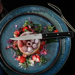 Facette bordkniv 4-pakning, ask