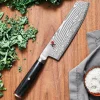 5000 FC-D Raw Nakiri grønnsakskniv, 17 cm