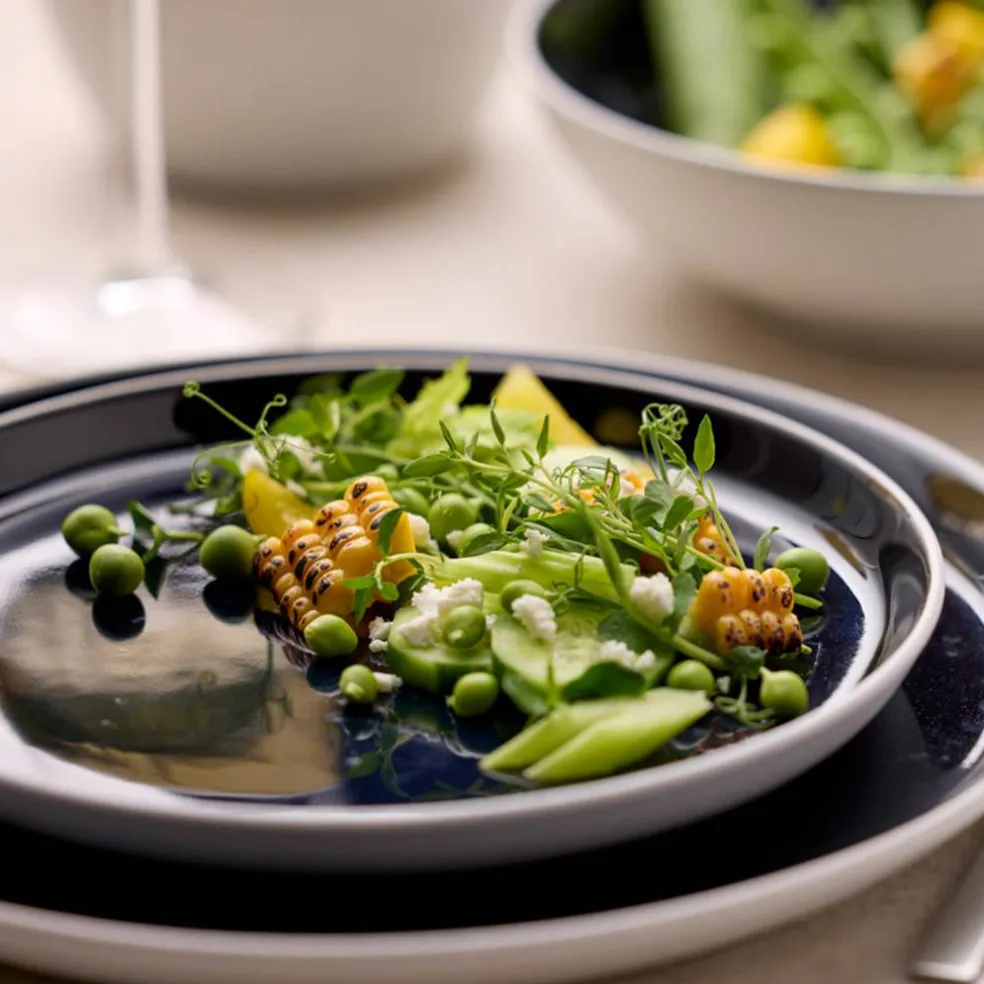 Gastro middagstallerken 27 cm, hvit/mørkeblå