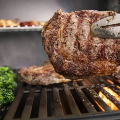 Genesis E-315 gassgrill