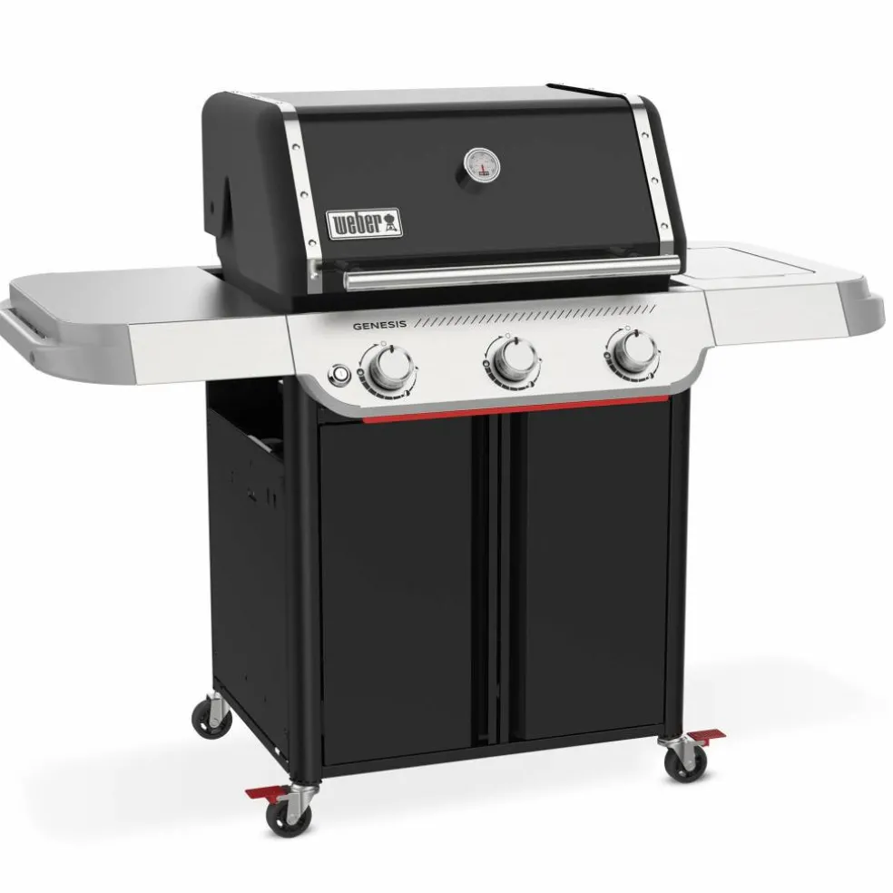 Genesis E-315 Gassgrill 2025