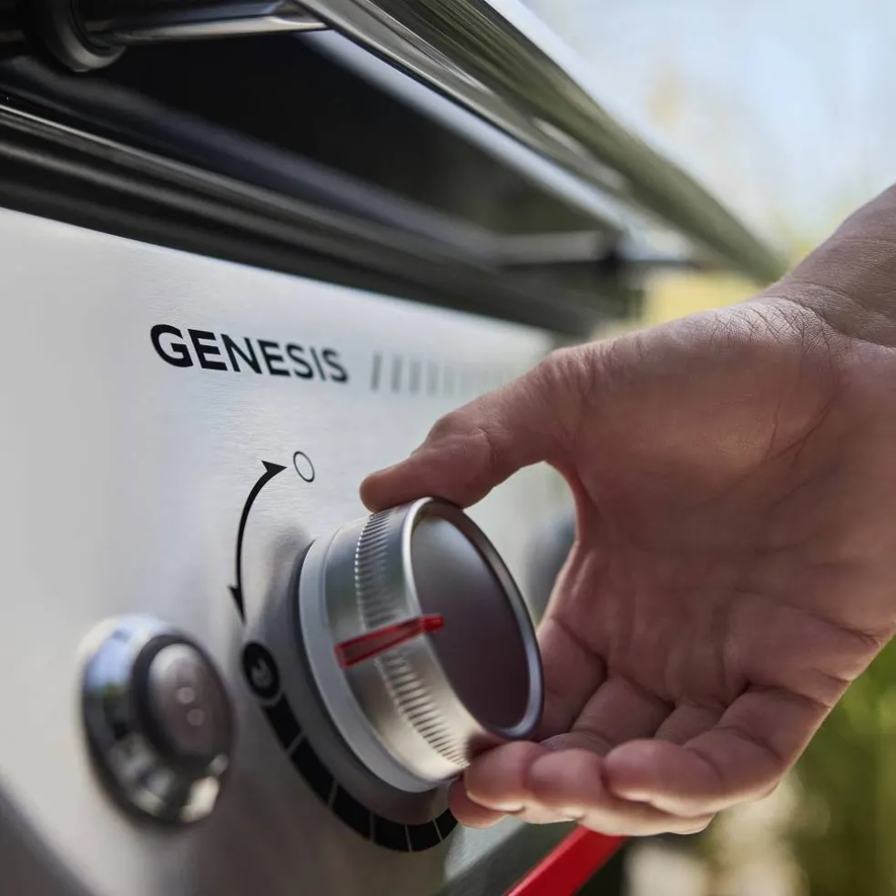 Genesis E-315 Gassgrill 2025