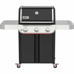 Genesis E-315 Gassgrill 2025