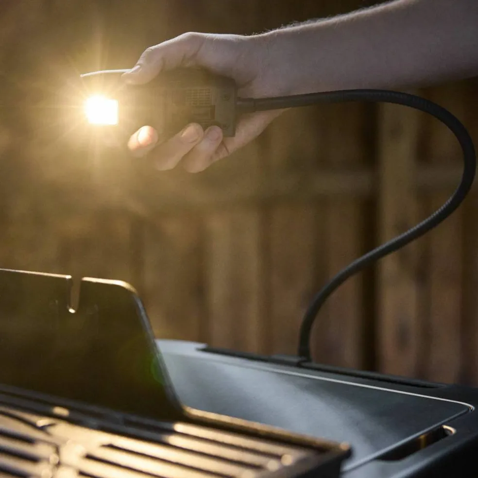 Genesis E-425W Gassgrill