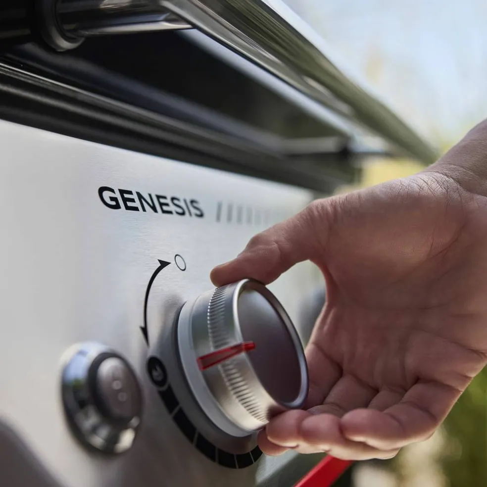 Genesis E-415W Gassgrill