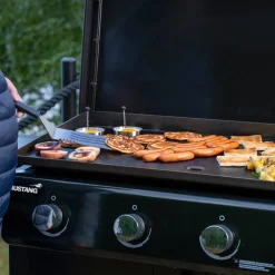 Griddle 4 stekebord