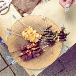 Hibachi grillspydsett til Little Grill