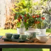 Hylle til ekspansjon Frame Acacia Wood