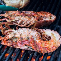Kullgrill Large