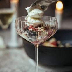 LifeStyle coupe champagneglass 4 stk