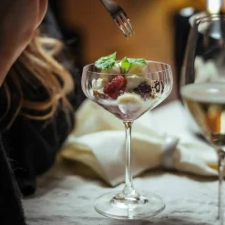 LifeStyle coupe champagneglass 4 stk