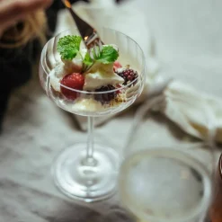 LifeStyle coupe champagneglass 4 stk