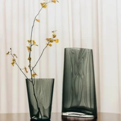 Lituus glassvase mellom