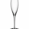 More Champagneglass 18 cl 4-pack