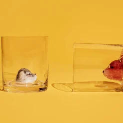 New Friends Glass, Frosk