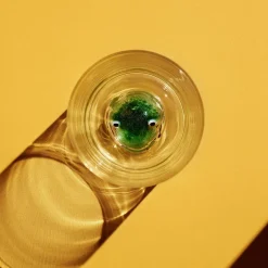 New Friends Glass, Fugl