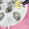 Oyster serveringsfat