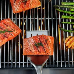 Precision Grillspade