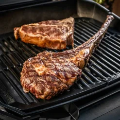 Pulse 2000 El-grill med trillestativ