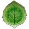 Riviera Hortensia serveringsfat 22 cm