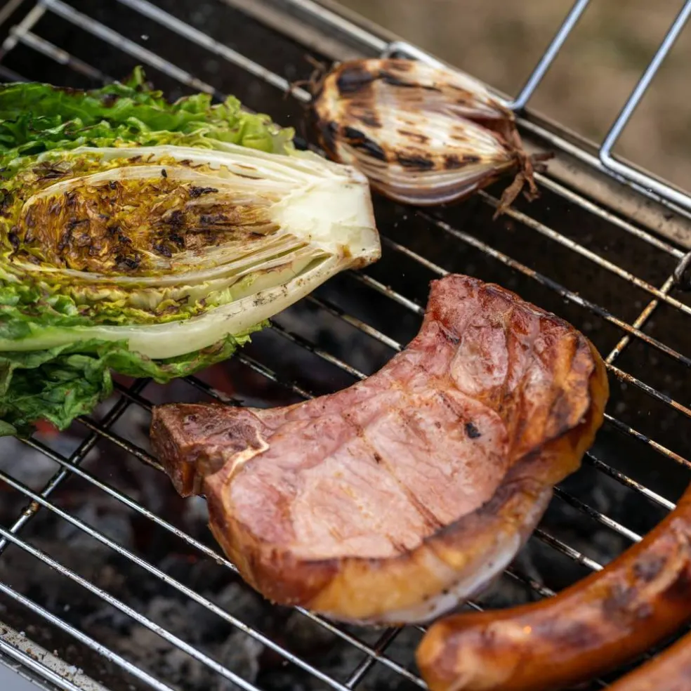 Sammenleggbar grill, 36 x 26 cm, rustfritt stål