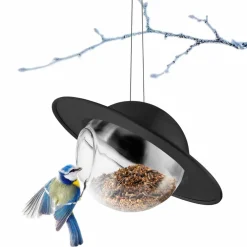 Saturn fuglemater, svart