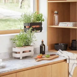 Selvvannende Herb Organiser stål, sort