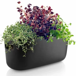 Selvvannende Herb Organiser Svart
