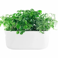 Selvvannende Herb Organiser Svart