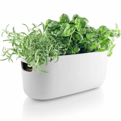 Selvvannende Herb Organiser Hvit
