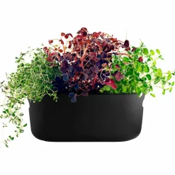 Selvvannende Herb Organiser Hvit