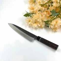 Senzo Strix 210 gyutokniv