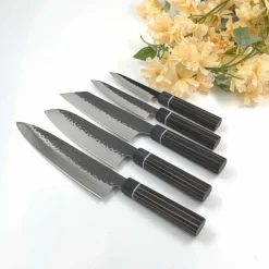 Senzo Strix 210 gyutokniv