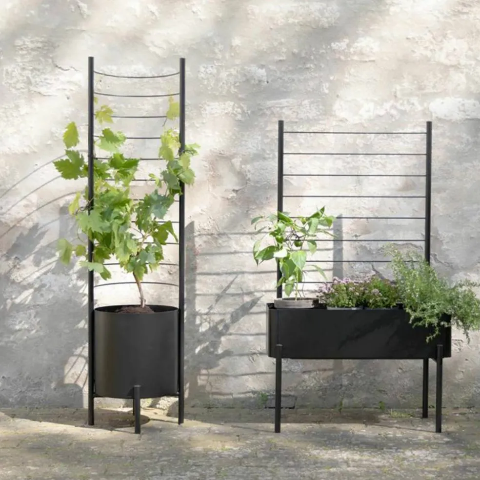 Simply Grow espalier til stor ytterpotte