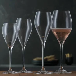 Special Glasses champagneglass 16 cl 6-pakning