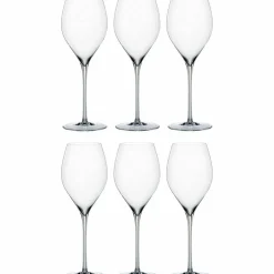 Special Glasses champagneglass 45 cl 6-pakning