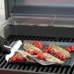 Style Grillform til fisk