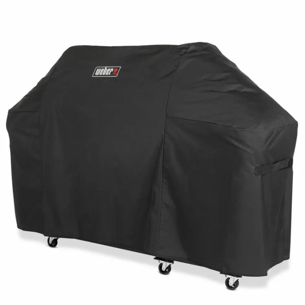 Summit E gassgrill