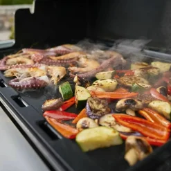 Summit FS38 S gassgrill
